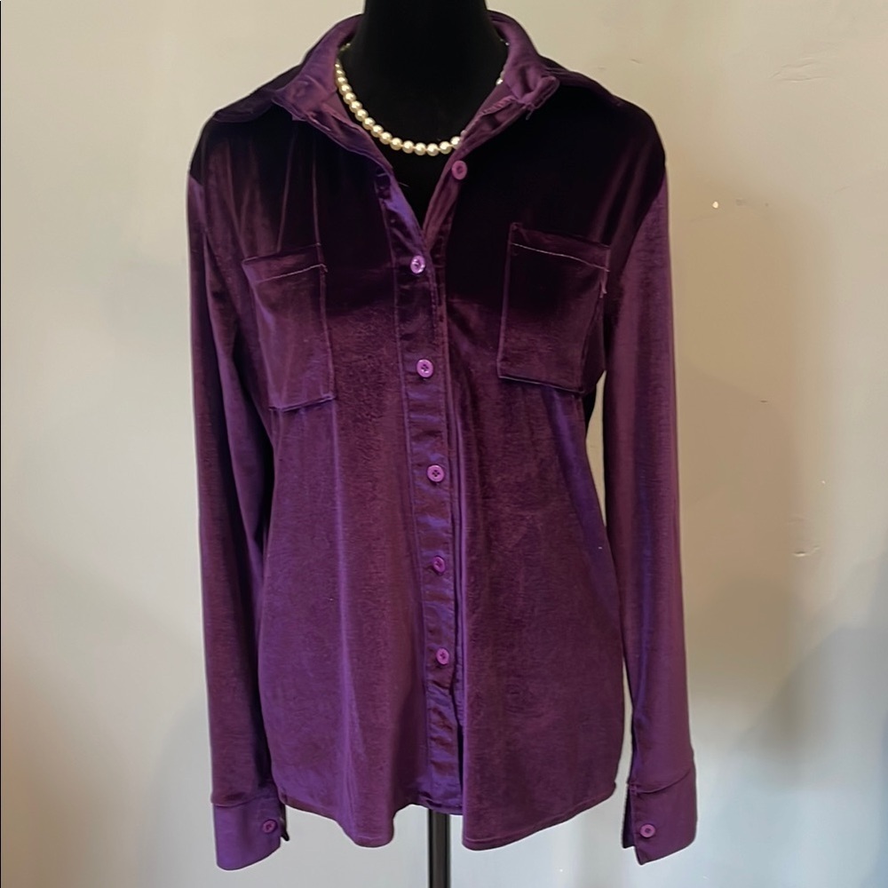 Purple Velvet Women's Top long sleeve like new